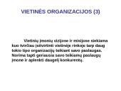 Organizacijų misijos ir vizijos 11 puslapis