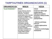 Organizacijų misijos ir vizijos 12 puslapis