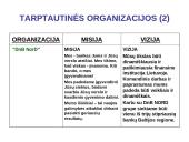 Organizacijų misijos ir vizijos 13 puslapis