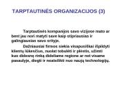 Organizacijų misijos ir vizijos 14 puslapis