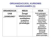 Organizacijų misijos ir vizijos 15 puslapis