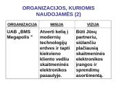 Organizacijų misijos ir vizijos 16 puslapis