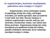 Organizacijų misijos ir vizijos 17 puslapis