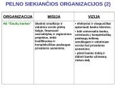 Organizacijų misijos ir vizijos 3 puslapis