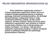 Organizacijų misijos ir vizijos 4 puslapis