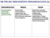 Organizacijų misijos ir vizijos 5 puslapis