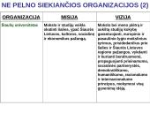 Organizacijų misijos ir vizijos 6 puslapis