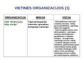 Organizacijų misijos ir vizijos 9 puslapis