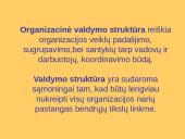 Organizacijų valdymo struktūrų raida 3 puslapis