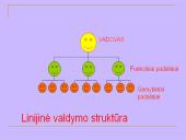 Organizacijų valdymo struktūrų raida 4 puslapis