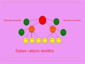 Organizacijų valdymo struktūrų raida 9 puslapis