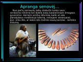 Moterų aprangos reikalavimai 2 puslapis