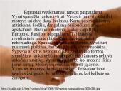 Rusijos Federacijos aprašymas 11 puslapis