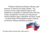 Rusijos Federacijos aprašymas 16 puslapis