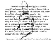 Rusijos Federacijos aprašymas 17 puslapis