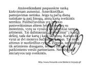 Rusijos Federacijos aprašymas 10 puslapis