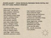 Salomėja Nėris (Bačinskaitė-Bučienė) 8 puslapis