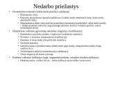 Socialinės politikos samprata 11 puslapis