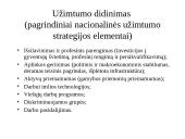 Socialinės politikos samprata 12 puslapis