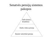 Socialinės politikos samprata 13 puslapis