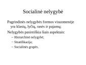 Socialinės politikos samprata 14 puslapis