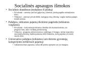Socialinės politikos samprata 15 puslapis