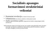 Socialinės politikos samprata 16 puslapis