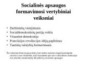 Socialinės politikos samprata 17 puslapis
