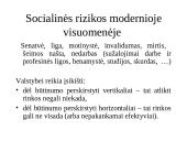 Socialinės politikos samprata 19 puslapis