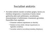 Socialinės politikos samprata 10 puslapis