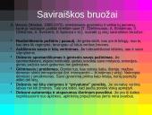 Sporto pedagogo poreikis tobulėti 3 puslapis