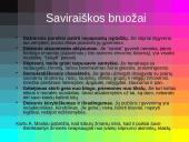 Sporto pedagogo poreikis tobulėti 4 puslapis