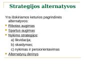 Strategijos samprata 12 puslapis