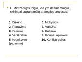 Strategijos samprata 6 puslapis