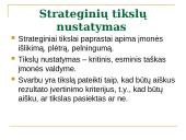Strategijos samprata 8 puslapis