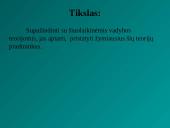 Šiuolaikinių vadybos teorijų apžvalga 2 puslapis