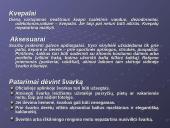 Tarptautinis protokolas ir etiketas Nyderlanduose 19 puslapis