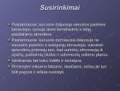 Tarptautinis protokolas ir etiketas Nyderlanduose 7 puslapis