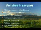 Tarptautinis protokolas ir etiketas Turkijoje 4 puslapis