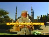 Tarptautinis protokolas ir etiketas Turkijoje 7 puslapis