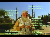 Tarptautinis protokolas ir etiketas Turkijoje 10 puslapis