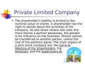 Types of business companies 6 puslapis