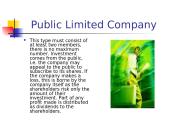 Types of business companies 7 puslapis