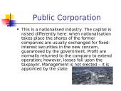 Types of business companies 8 puslapis