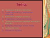 Tradicinių švenčių organizavimas ir režisūra 6 puslapis