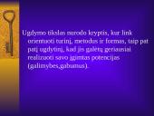 Ugdytinių ugdymo(si) motyvacijos pedagoginiai aspektai 2 puslapis