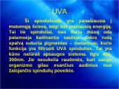 Ultravioletiniai saulės spinduliai 6 puslapis