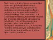 V. A. Graičiūno veikla ir jo teorijos "Organizacijos vidiniai ryšiai" esmė ir reikšmė 12 puslapis