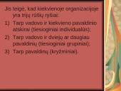 V. A. Graičiūno veikla ir jo teorijos "Organizacijos vidiniai ryšiai" esmė ir reikšmė 9 puslapis