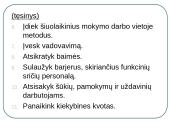 Ūkio ir ekonominės sistemos modelis 13 puslapis